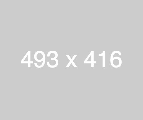 big-img